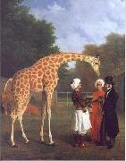 The Nubian Giraffe